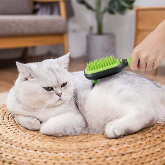 Person grooming a fluffy silver cat with a green rubber brush in a cozy living room setting.