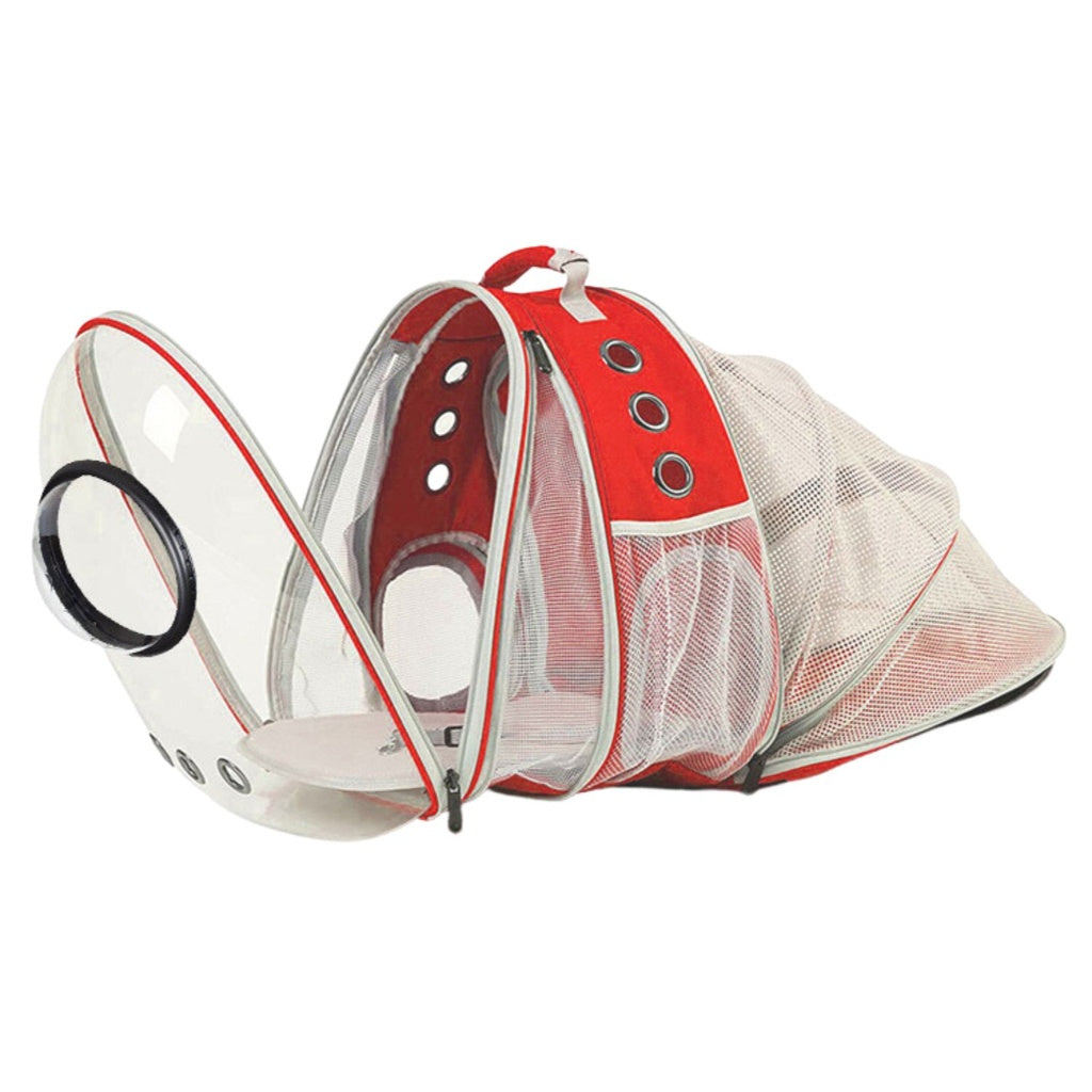 Clear and red portable pet carrier with mesh sides and ventilation holes.