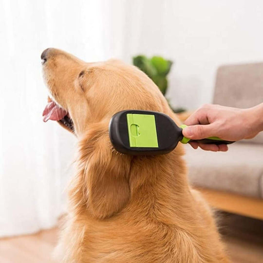 Person using Floofi 5in1 grooming brush on a golden retriever, demonstrating its quality and affordable pet care.