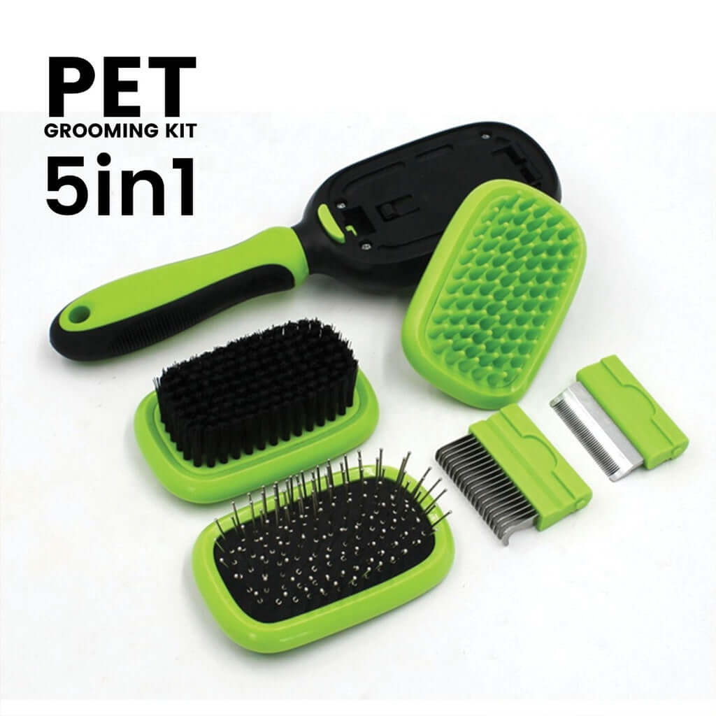 Floofi 5in1 Pet Grooming Set including ergonomic handle and five brush heads, perfect for affordable DIY pet grooming.