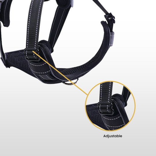 Adjustable black harness with detailed close-up view of strap buckle.