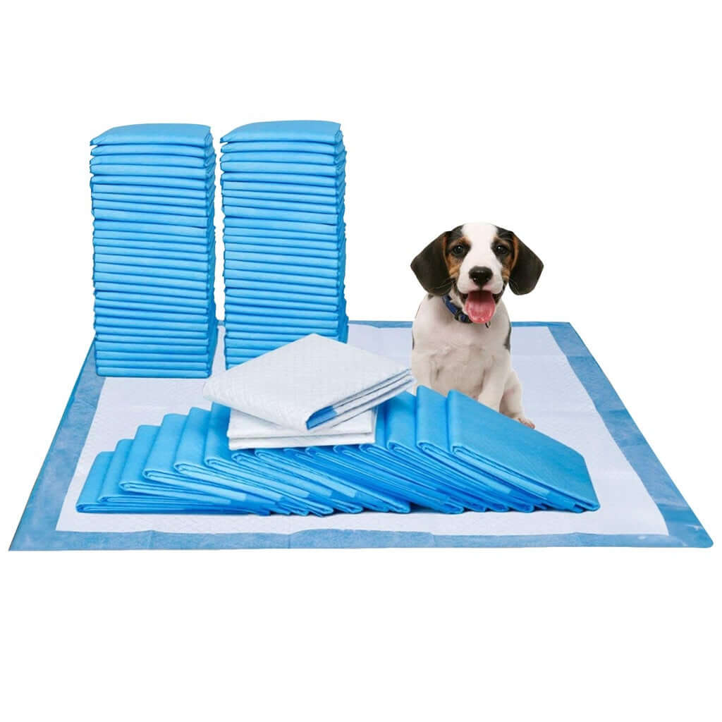 Floofi Pet Toilet Training Pads with a dog, showcasing 50 disposable pads in blue for quality and affordability.