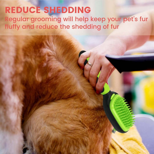 Person grooming a pet with a green brush, showcasing how to reduce shedding for fluffy fur.