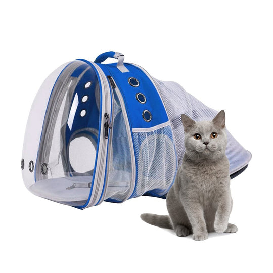 Cat sitting next to a blue and white pet backpack carrier.