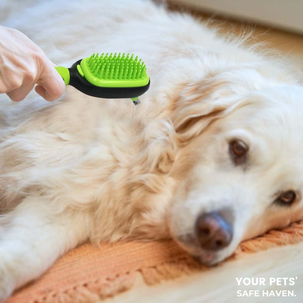 Close-up of Floofi grooming brush being used on a golden retriever, showcasing affordable pet grooming solutions.