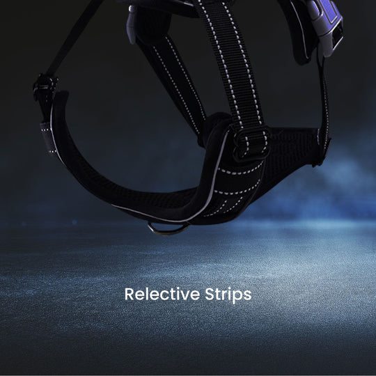 High-quality pet harness with reflective strips for nighttime safety and visibility.