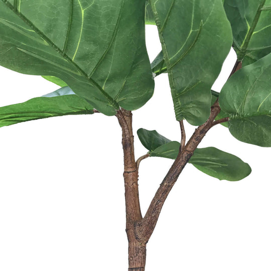 DSZ Product, feed-cond-new, feed-sl-DSZ Freight Payable, newTall Artificial Fiddle Leaf Fig 170Cm - Premium Home & Garden > Bedding > Blankets & Throws from DSZ ! Shop Online Buy Now at S & D's Value Store Family Business Best Customer ServiceDSZ Product, feed-cond-new, feed-sl-DSZ Freight Payable, new