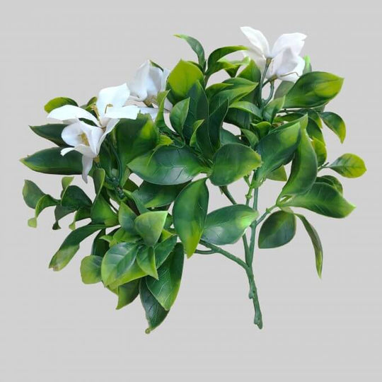 DSZ Product, feed-cond-new, feed-sl-DSZ Freight Payable, newWhite Flowering Jasmine Stem Uv Resistant 30Cm - Premium Home & Garden > Artificial Plants > Artifical Flowers & Plants from DSZ ! Shop Online Buy Now at S & D's Value Store Family Business Best Customer ServiceDSZ Product, feed-cond-new, feed-sl-DSZ Freight Payable, new