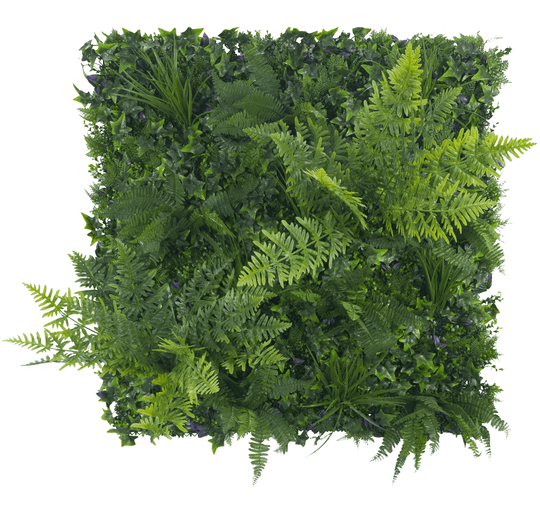 DSZ Product, feed-cond-new, feed-sl-DSZ Freight Payable, newJungle Fern Vertical Garden / Green Wall Uv Resistant 1M X 1M - Premium Home & Garden > Artificial Plants > Artifical Flowers & Plants from DSZ ! Shop Online Buy Now at S & D's Value Store Family Business Best Customer ServiceDSZ Product, feed-cond-new, feed-sl-DSZ Freight Payable, new