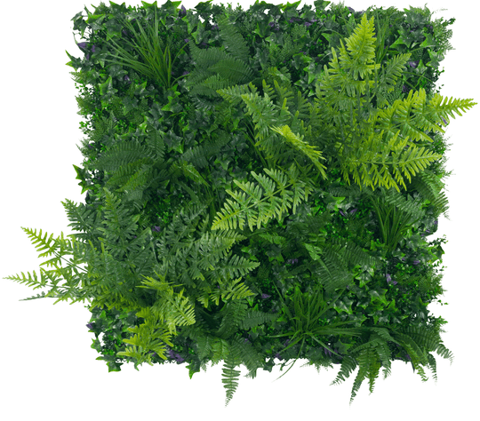 DSZ Product, feed-cond-new, feed-sl-DSZ Freight Payable, newJungle Fern Vertical Garden / Green Wall Uv Resistant 1M X 1M - Premium Home & Garden > Artificial Plants > Artifical Flowers & Plants from DSZ ! Shop Online Buy Now at S & D's Value Store Family Business Best Customer ServiceDSZ Product, feed-cond-new, feed-sl-DSZ Freight Payable, new