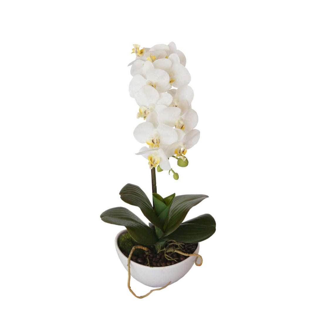 46cm white butterfly orchid in pot, affordable quality faux plant for home decor, elegant and sophisticated.