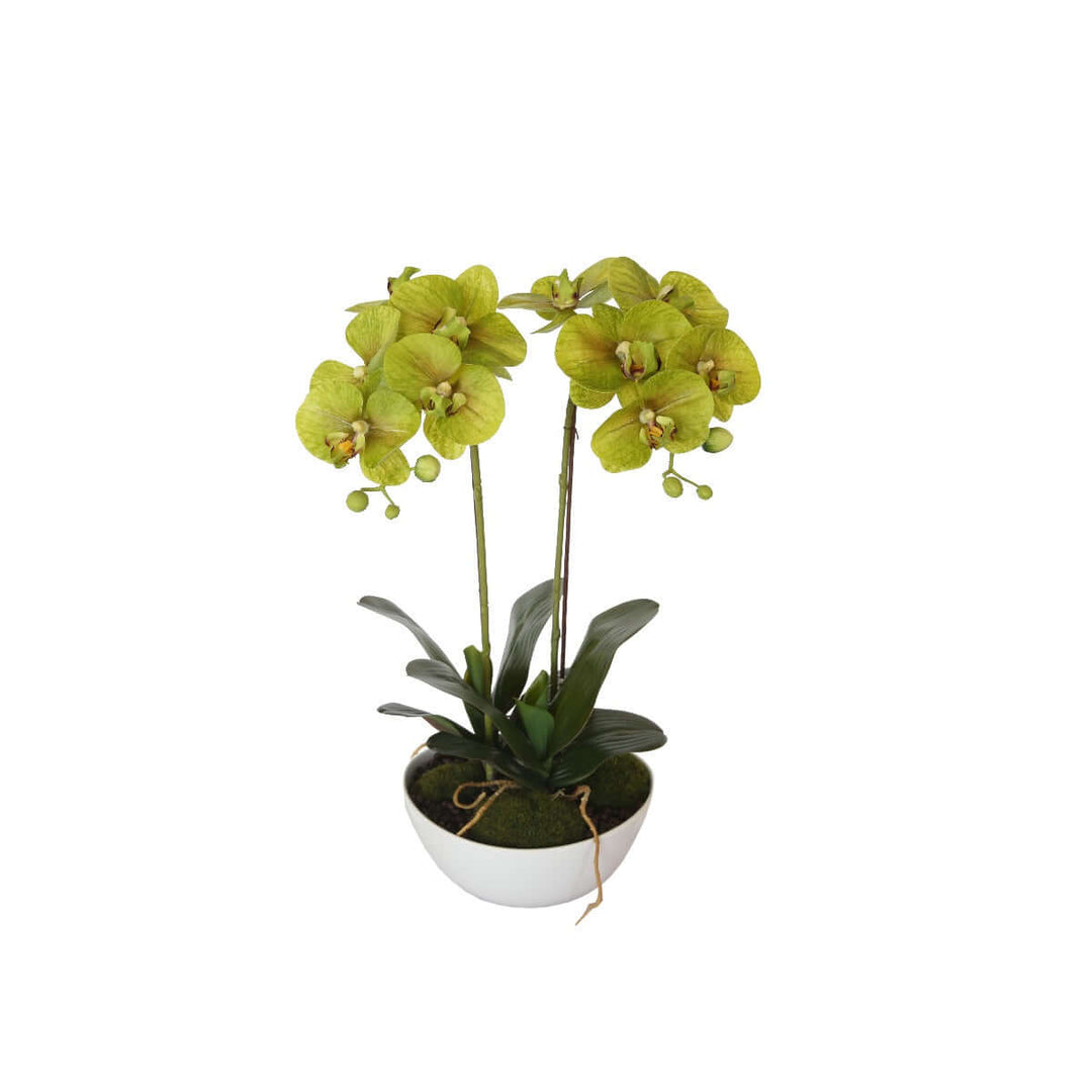 50cm Dual Butterfly Orchid in a pot, vibrant green, affordable quality faux plant for DIY decor.