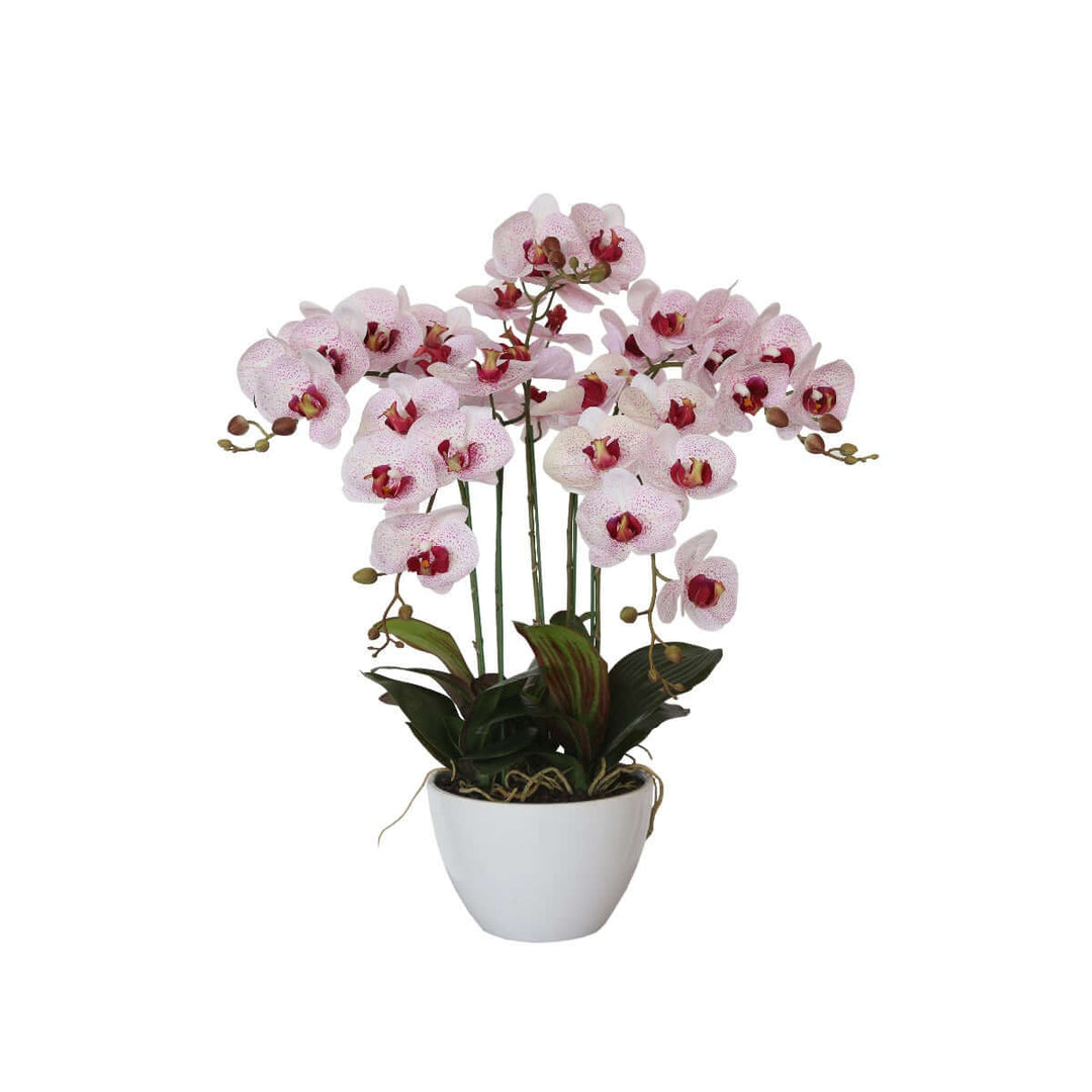 Affordable 66cm multi butterfly orchid in pink, high-quality faux potted plant for DIY decor.