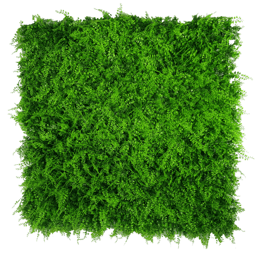 DSZ Product, feed-cond-new, feed-sl-DSZ Freight Payable, newMediterranean Fern Vertical Garden Uv Stabilised 1M X 1M - Premium Home & Garden > Artificial Plants > Artifical Flowers & Plants from DSZ ! Shop Online Buy Now at S & D's Value Store Family Business Best Customer ServiceDSZ Product, feed-cond-new, feed-sl-DSZ Freight Payable, new