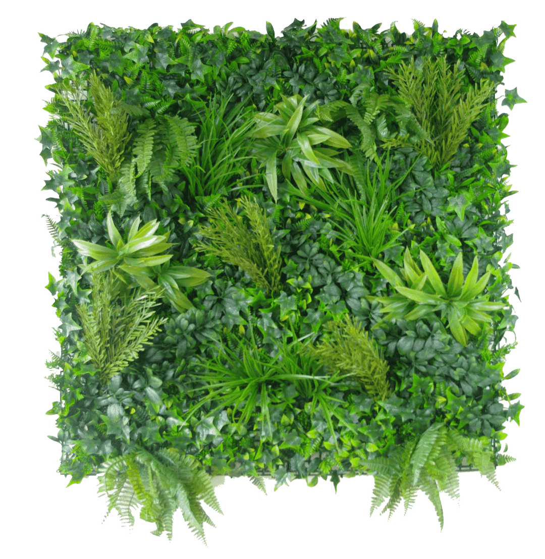 DSZ Product, feed-cond-new, feed-sl-DSZ Freight Payable, newNative Tea Tree Vertical Garden / Green Wall Uv Resistant 100Cm X 100Cm - Premium Home & Garden > Artificial Plants > Artifical Flowers & Plants from DSZ ! Shop Online Buy Now at S & D's Value Store Family Business Best Customer ServiceDSZ Product, feed-cond-new, feed-sl-DSZ Freight Payable, new