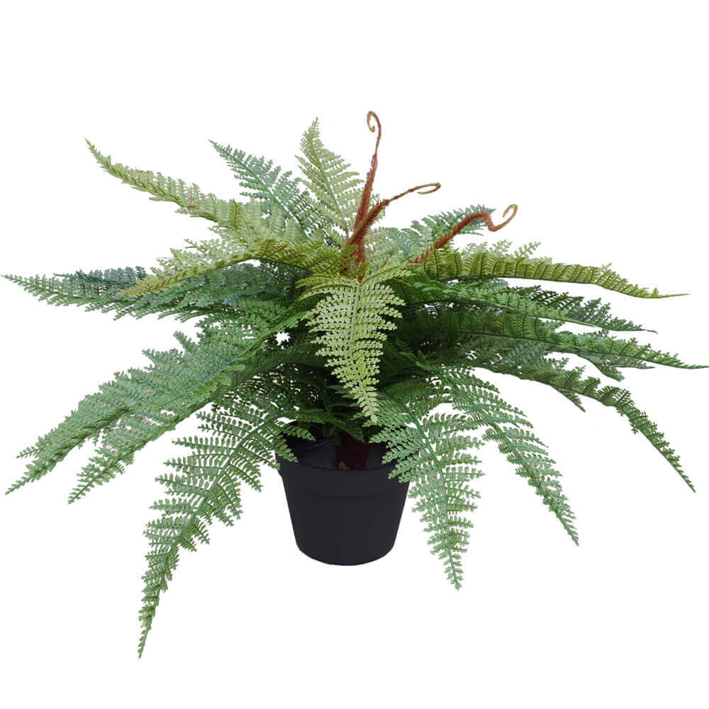 DSZ Product, feed-cond-new, feed-sl-DSZ Freight Payable, newArtificial Potted Fishtail Fern 55Cm - Premium Home & Garden > Artificial Plants > Artifical Flowers & Plants from DSZ ! Shop Online Buy Now at S & D's Value Store Family Business Best Customer ServiceDSZ Product, feed-cond-new, feed-sl-DSZ Freight Payable, new