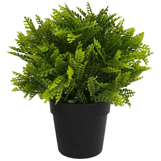 DSZ Product, feed-cond-new, feed-sl-DSZ Freight Payable, newSmall Potted Artificial Mimosa Fern Uv Resistant 20Cm - Premium Home & Garden > Artificial Plants > Artifical Flowers & Plants from DSZ ! Shop Online Buy Now at S & D's Value Store Family Business Best Customer ServiceDSZ Product, feed-cond-new, feed-sl-DSZ Freight Payable, new