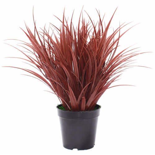 DSZ Product, feed-cond-new, feed-sl-DSZ Freight Payable, newArtificial Ornamental Potted Dense Burgundy Grass 38 Cm - Premium Home & Garden > Artificial Plants > Artifical Flowers & Plants from DSZ ! Shop Online Buy Now at S & D's Value Store Family Business Best Customer ServiceDSZ Product, feed-cond-new, feed-sl-DSZ Freight Payable, new