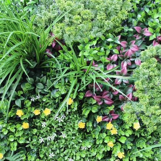 DSZ Product, feed-cond-new, feed-sl-DSZ Freight Payable, newCountry Fern Vertical Garden Green Wall Uv Resistant 100Cm X 100Cm - Premium Home & Garden > Artificial Plants > Artifical Flowers & Plants from DSZ ! Shop Online Buy Now at S & D's Value Store Family Business Best Customer ServiceDSZ Product, feed-cond-new, feed-sl-DSZ Freight Payable, new